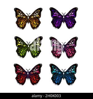 Ensemble de différents papillons colorés sur blanc Illustration de Vecteur