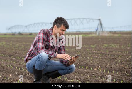 Beau fermier avec des pousses de tablettes et de maïs au champ au printemps avec système d'irrigation en arrière-plan Banque D'Images