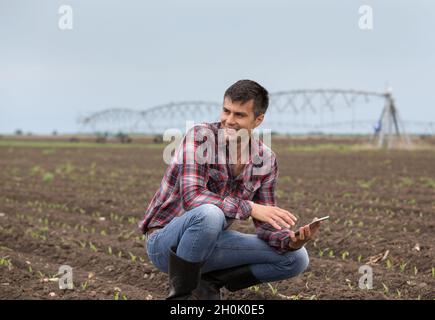 Beau fermier avec des pousses de tablettes et de maïs au champ au printemps avec système d'irrigation en arrière-plan Banque D'Images