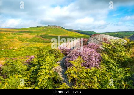 Paysage du Derbyshire montrant la bruyère en pleine floraison sur les rochers en pierre à aiguiser avec le ciel bleu avec une grande colline en arrière-plan Banque D'Images