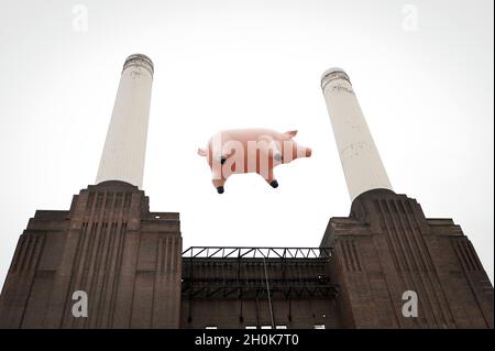 Un cochon gonflable géant survole Battersea Power Station sur les rives de la Tamise dans le centre de Londres, lors d'une récréation de la couverture de l'album Pink Floyd 'Animals' - sorti il y a 35 ans - pour célébrer le lancement de 'Why Pink Floyd',Un coffret remasterisé numériquement de tous les 14 albums studio Pink Floyd. Banque D'Images