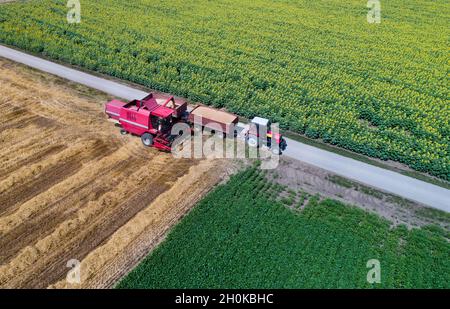 Image aérienne de la moissonneuse-batteuse chargeant la remorque du tracteur avec le grain de blé en été tiré par drone Banque D'Images