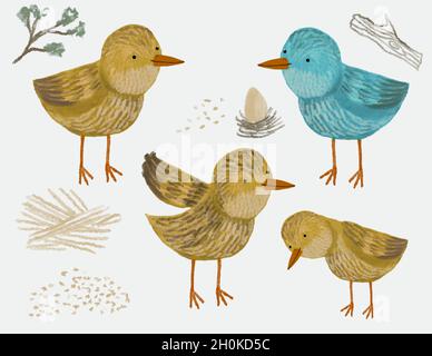 illustration de petits oiseaux mignons Banque D'Images