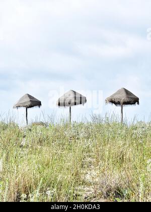 Une composition centrale de trois parasols de plage seuls.la photo est prise pendant l'été à Sinemorets, Bulgarie.c'était une belle journée de plage. Banque D'Images