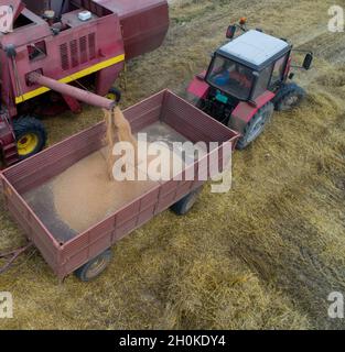 Image aérienne de la moissonneuse-batteuse chargeant la remorque du tracteur avec le grain de blé en été tiré par drone Banque D'Images