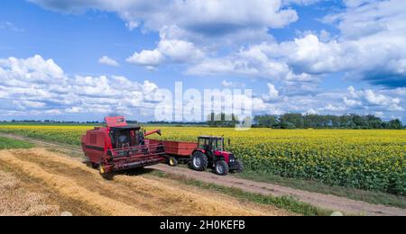 Moissonneuse-batteuse chargement de la remorque du tracteur avec grain de blé en été Banque D'Images