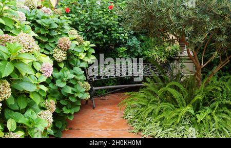 Banc sur le chemin au milieu de la verdure avec fleurs en fleur dans le jardin Banque D'Images