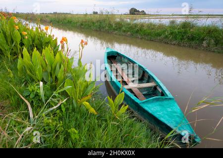 Bateau turquoise (canoë) écrasé sur un côté de la rivière au crépuscule.Delta de l'Ebre, Els Muntec, El Montsià, Tarragone, Catalogne,Espagne, Europe. Banque D'Images