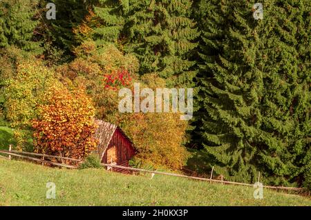 Moeciu de sus, comté de Brasov, Roumanie.Paysage rural d'automne dans les Carpathian Mountains Banque D'Images