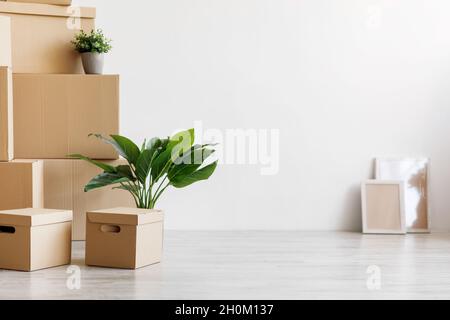 Pile de différentes boîtes en carton avec des effets personnels et des plantes vertes dans des pots au sol Banque D'Images