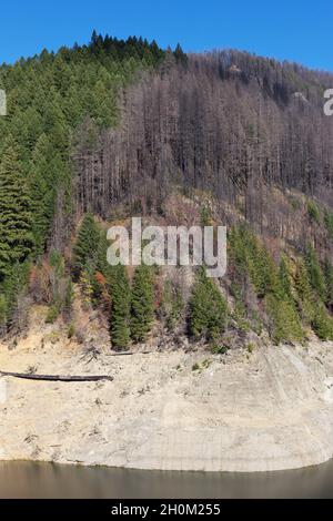 Une colline qui est à moitié brûlée près du barrage Cougar montre les effets de l'incendie de vacances de 2020, près de Blue River, Oregon, un an plus tard. Banque D'Images