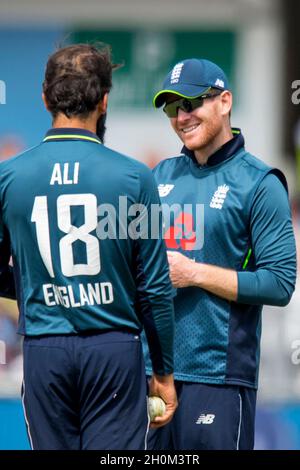 Le capitaine Eoin Morgan en Angleterre s’entretient avec Moeen Ali en Angleterre lors du troisième Royal London One Day International au stade Headingley Carnegie, à Leeds Banque D'Images