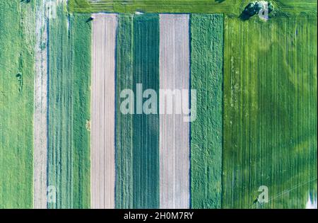 Bandes verticales de parcelles agricoles de différentes cultures. Vue aérienne prise de vue à partir d'un drone directement au-dessus du champ Banque D'Images