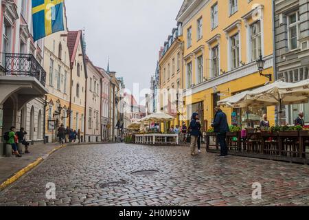 TALLINN, ESTONIE - 22 AOÛT 2016 : les gens marchent le long de la rue pavée Pikk dans la vieille ville de Tallinn. Banque D'Images