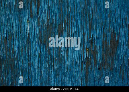 Grunge fond - surface en bois avec peinture bleue peeling.Texture craquelée vintage Banque D'Images