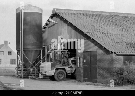 Tilburg, pays-Bas.Ancienne ferme usée et stable bientôt à remplacer par une nouvelle structure.Malheureusement, l'agriculture n'est plus une activité économique financièrement saine, ce qui rend difficile d'investir dans de nouveaux biens immobiliers bluid pour soutenir cette entreprise.Collection : gkf-analoog Banque D'Images