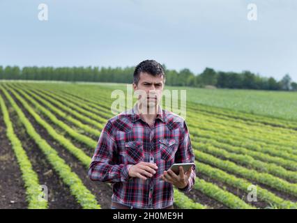 Jeune fermier beau avec des comprimés dans le champ de soja au printemps.Concept d'innovation agricole et agro-alimentaire Banque D'Images