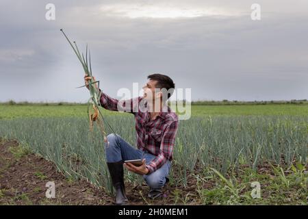 Jeune fermier beau avec comprimé de vérification de la qualité de l'ail dans le champ au printemps Banque D'Images