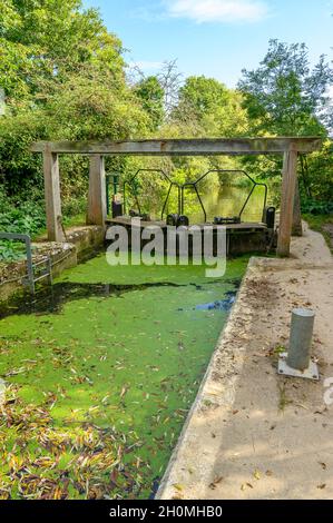 Écluse de Flatford sur la rivière Stour près de Flatford Mill, remplie d'eau stagnante avec de la duckweed et des feuilles.Suffolk, Angleterre. Banque D'Images