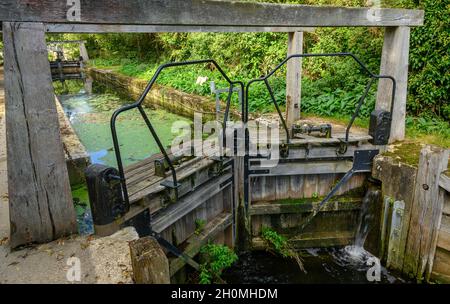 Écluse de Flatford sur la rivière Stour près de Flatford Mill, remplie d'eau stagnante avec de la duckweed et des feuilles.Suffolk, Angleterre. Banque D'Images