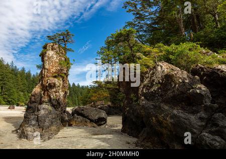 Magnifique baie San Josef, parc provincial Cape Scott, île de Vancouver, C.-B., Canada Banque D'Images