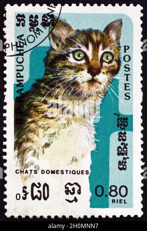 CAMBODGE - VERS 1985: Un timbre imprimé au Cambodge montre le chat domestique, felis silvestris catus, animal, vers 1985 Banque D'Images