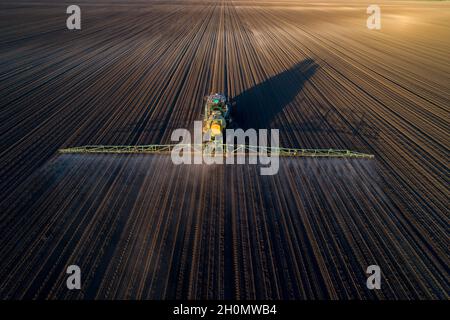 Image aérienne du tracteur pulvérisant du sol et des jeunes cultures au printemps dans le champ Banque D'Images