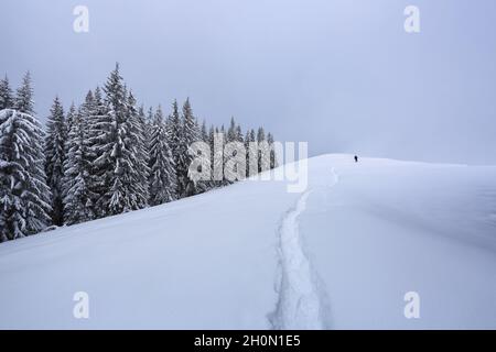 Paysage sur le froid matin d'hiver.Sur la pelouse couverte de neige, il y a un chemin trodden menant aux montagnes.Arbres dans les dérives.Forêt. Banque D'Images