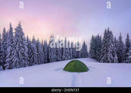 Paysage incroyable par temps froid d'hiver.Dans la forêt sur la pelouse verte tente touristique se dresse avec un large chemin à elle.Magnifique pin enneigé en montagne Banque D'Images