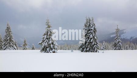 De la pelouse, une vue panoramique de la couverte de gelées dans les dérives, haute montagne avec des sommets blancs de neige.Magnifique paysage sur le col Banque D'Images