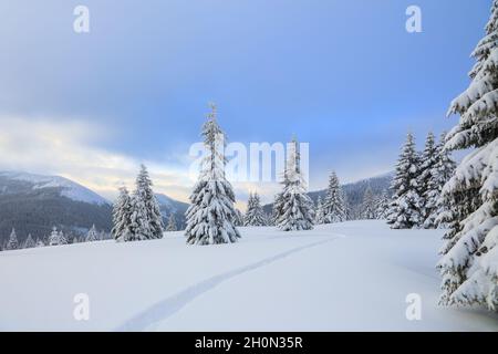 Magnifique paysage par temps froid d'hiver.Sur la pelouse couverte de neige, il y a un sentier de trodden menant aux hautes montagnes avec des sommets blancs de neige, Banque D'Images