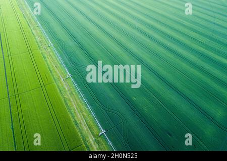 Vue aérienne du système de pivot central d'irrigation sur le champ de blé au printemps tiré de drone Banque D'Images