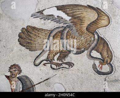 Grand Palais de Constantinople (époque romaine de l'est).Détail de l'une des mosaïques qui a décoré les trottoirs.Lutte entre aigle et serpent.4e-6e Banque D'Images