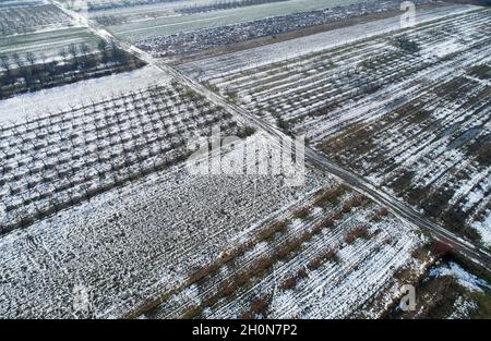 Vue aérienne des terres agricoles couvertes de neige provenant d'un drone en hiver Banque D'Images