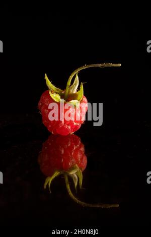 Framboise sur fond noir Banque D'Images