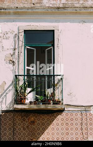 Vue verticale d'un balcon avec vases végétaux et portes vitrées à demi-ouverture sur un mur blanc vieilli Banque D'Images