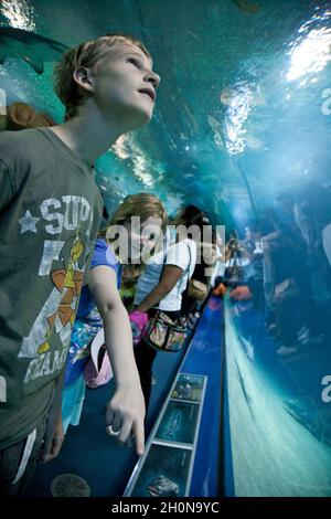 L'Océanografic, un oceanarium situé sur le lit sec de la rivière Turia au sud-est du centre-ville de Valence, Espagne, Banque D'Images