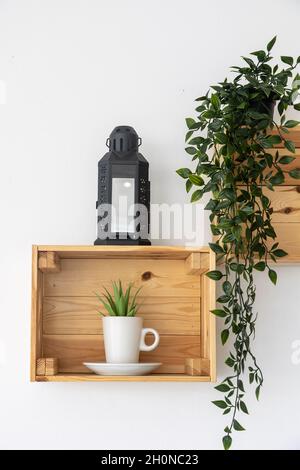Boîtes en bois fixées sur le mur blanc comme supports décoratifs pour les plantes Banque D'Images