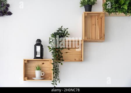 Boîtes en bois fixées sur le mur blanc comme supports décoratifs pour les plantes Banque D'Images