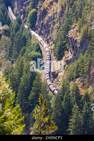 Long train de marchandises passant par les bois et les montagnes à feuilles persistantes, vue aérienne.Train de cargaison avec le carburant passant par la vue de dessus de la forêt, personne, Banque D'Images