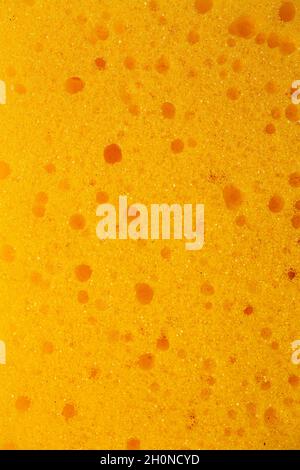macro photographie de mousse jaune. texture éponge. Banque D'Images