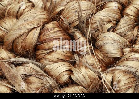 Faisceau marron épais de fibres de jute brutes Banque D'Images