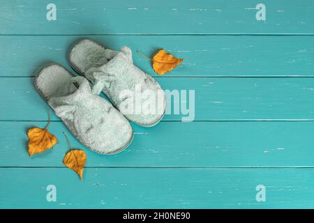 Drôle de chat bleu clair visage chaussons et peu de feuilles d'automne jaune sec sur la surface en bois turquoise.Nouvelles chaussures domestiques confortables pour la saison froide. Banque D'Images