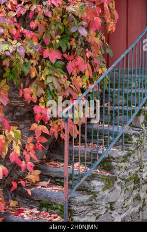 Vue sur le vieux village de Provesende au coeur de la vallée du Douro en automne, industrie viticole au Portugal Banque D'Images
