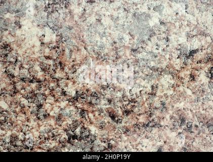 Granit naturel brun clair avec des taches blanches fines et des nervures noires.Arrière-plan, motif, texture. Banque D'Images