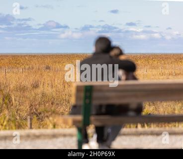 Vue arrière du jeune couple floue assis sur le banc et se penchant la tête l'une sur l'autre.L'homme embrasse sa petite amie.Saison d'automne.Vue sur la rue, Banque D'Images