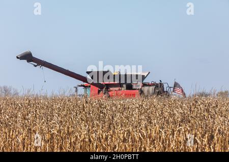 Une moissonneuse-batteuse qui récolte du maïs près de Danville, Iowa Banque D'Images