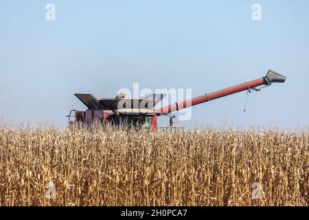 Une moissonneuse-batteuse qui récolte du maïs près de Danville, Iowa Banque D'Images