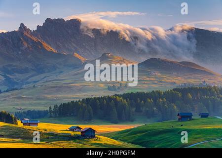 Alpe di Siusi (allemand; Seiser Alm) est un plateau des Dolomites et la plus grande prairie alpine de haute altitude d'Europe.Situé dans le Tyrol du Sud de l'Italie Banque D'Images
