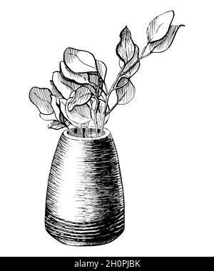 Fleur dans une ligne de pot dessin graphique carte postale. Branche d'arbre dans une illustration vectorielle de vase dessinée à la main. Esquisse de printemps nature d'une plante isolée sur fond blanc Illustration de Vecteur